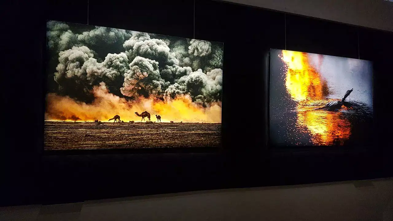 chameau en flamme monde de steve mccurry chameau en flamme monde de steve mccurry