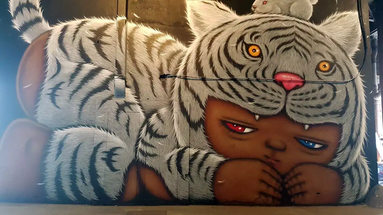 alex face tigre alex face tigre