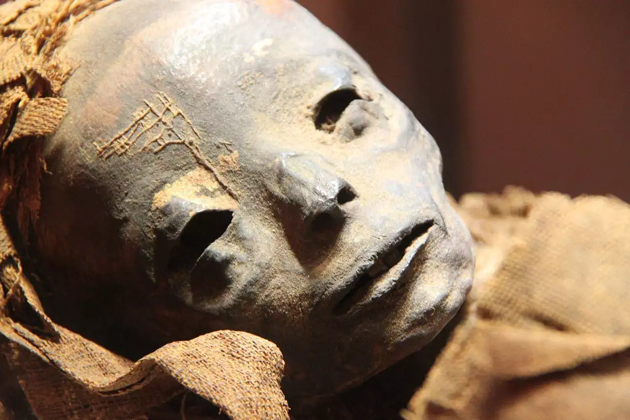 momie egyptienne momie égyptienne