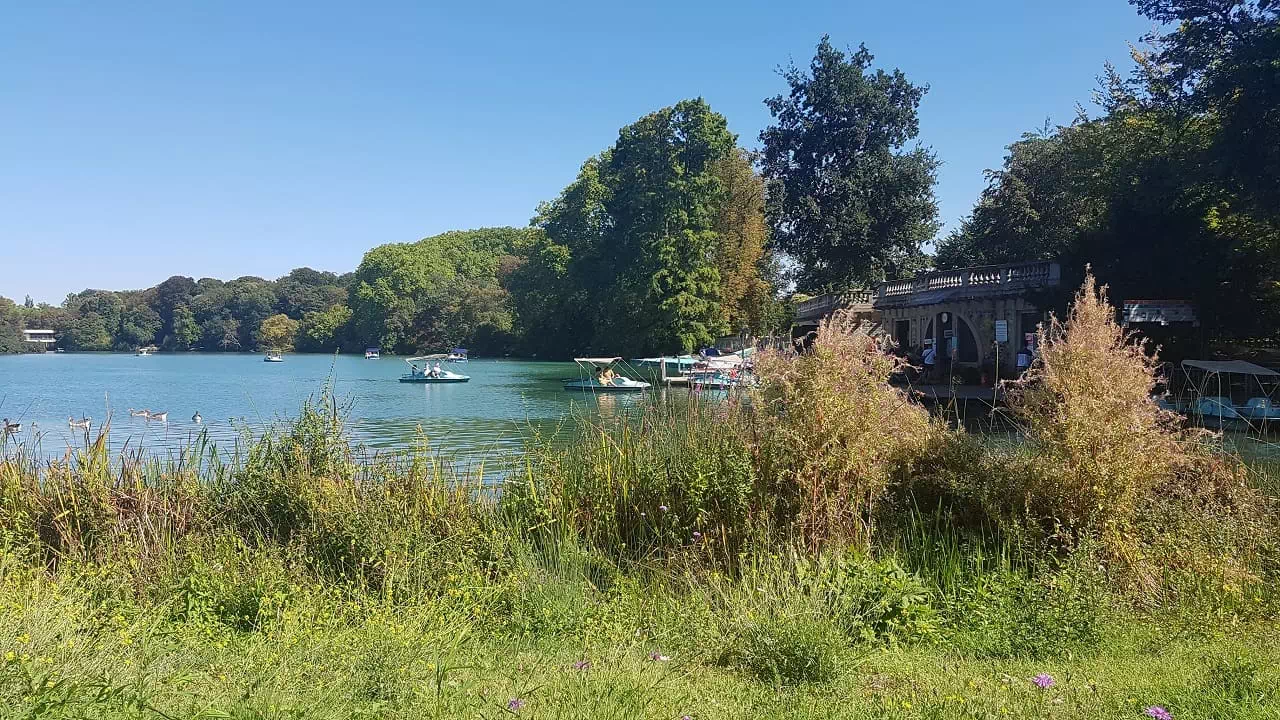 lac du parc de la tête d'or