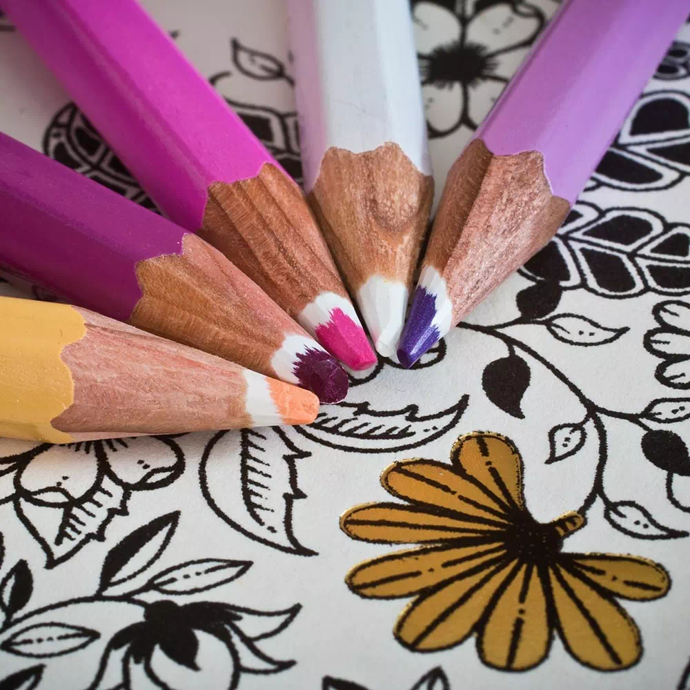 livre de coloriage pour adultes
