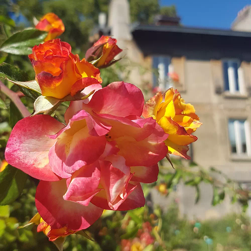 parc de la tête d'or