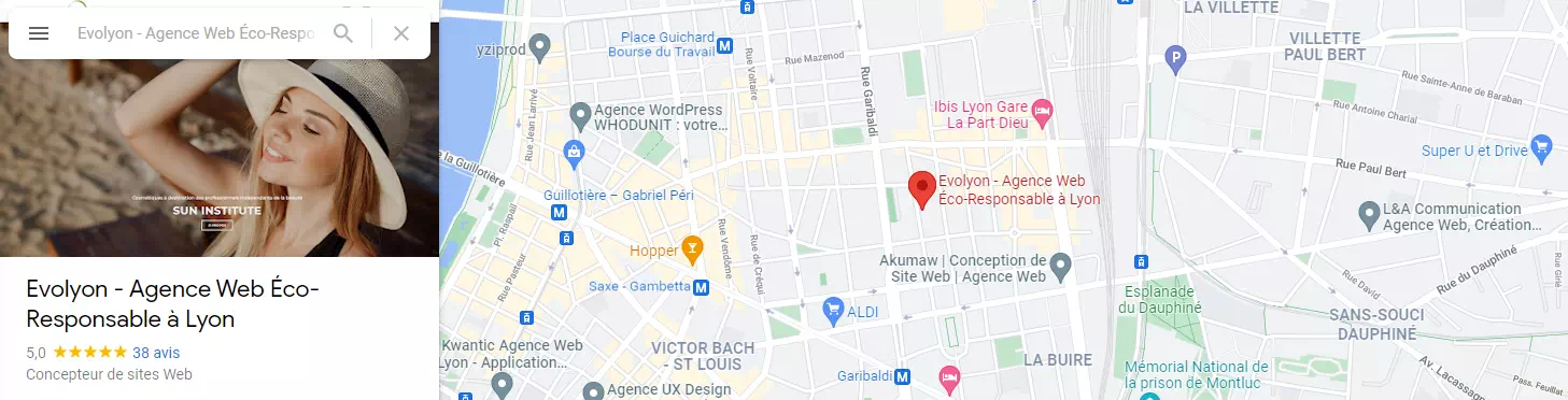 avis Evolyon expert WordPress Lyon