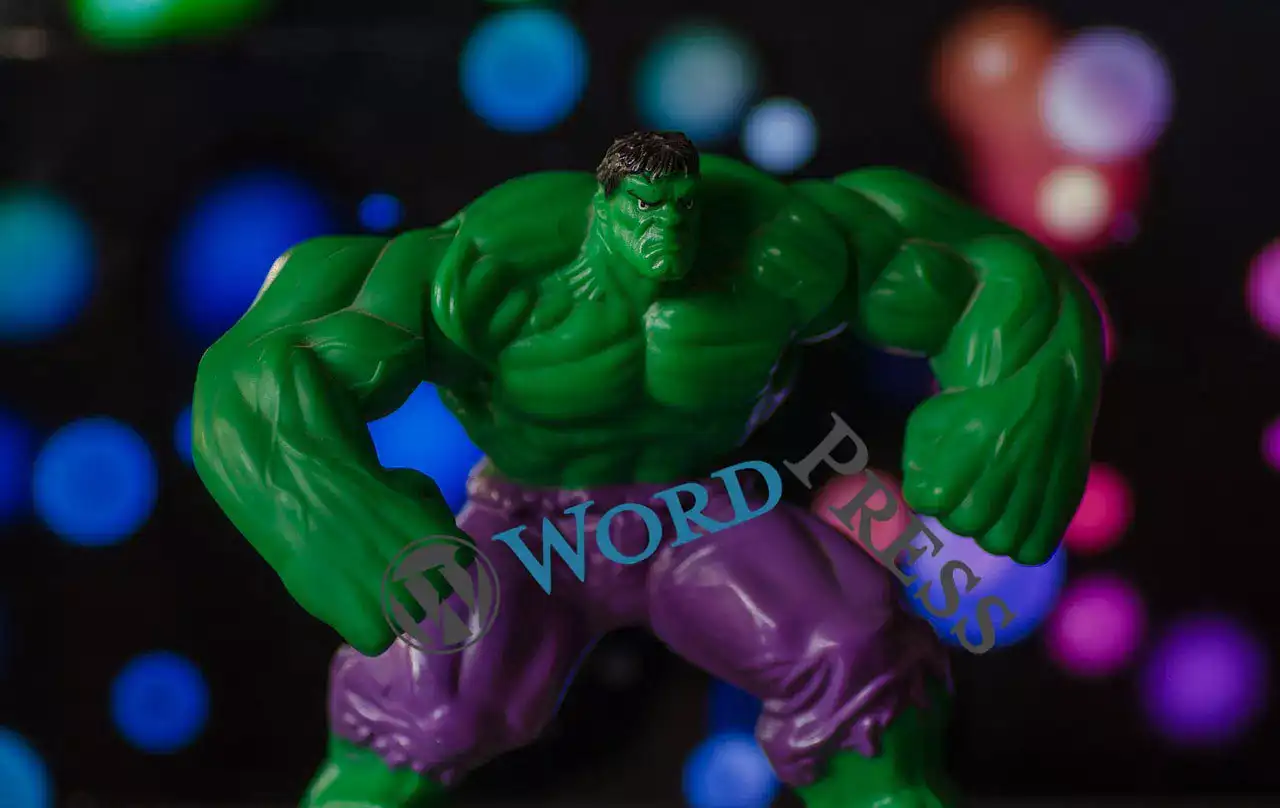 brute force wordpress brute force wordpress