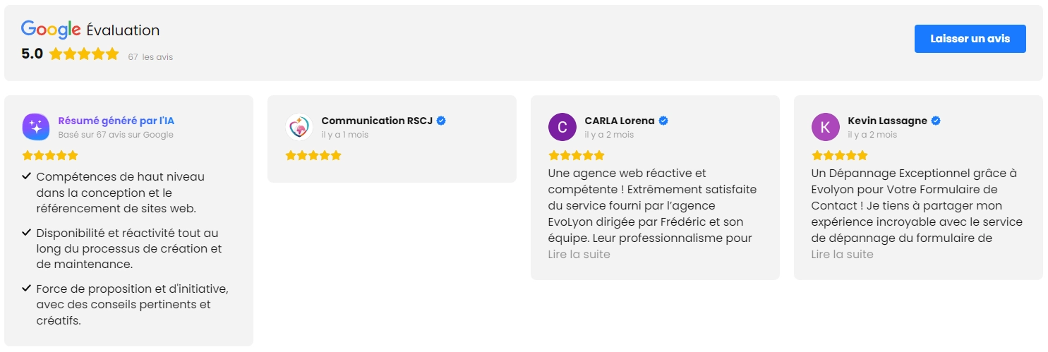 avis maintenance WordPress Evolyon