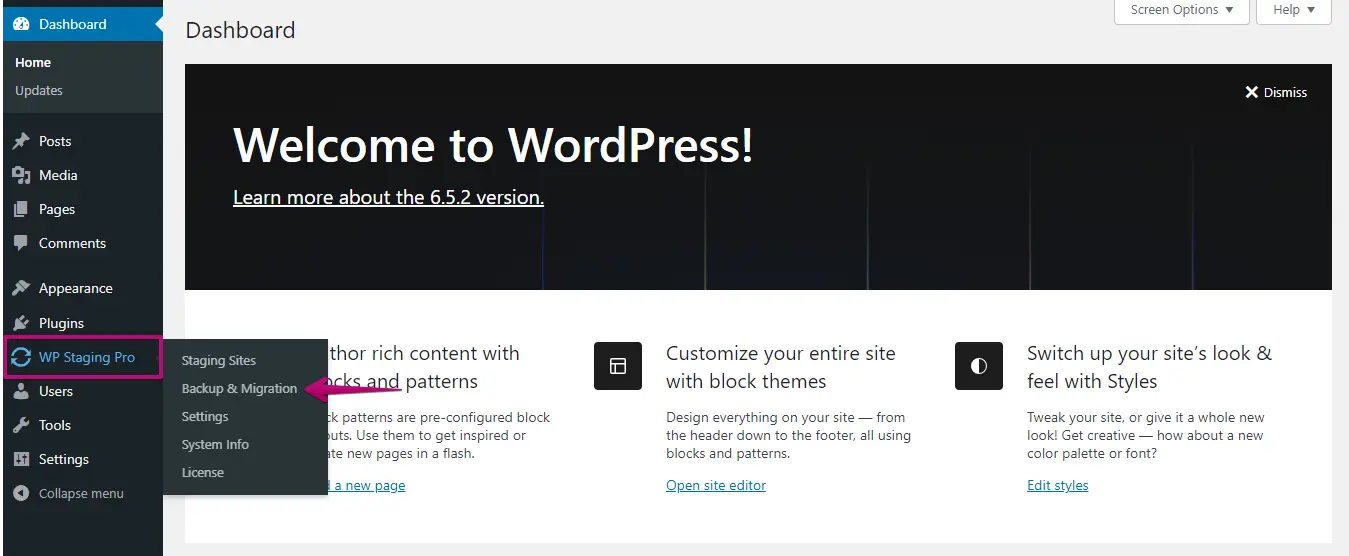 plugin WP Staging