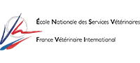 ENSV - FVI