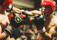 Comment corriger les conflits entre plugins ou themes WordPress