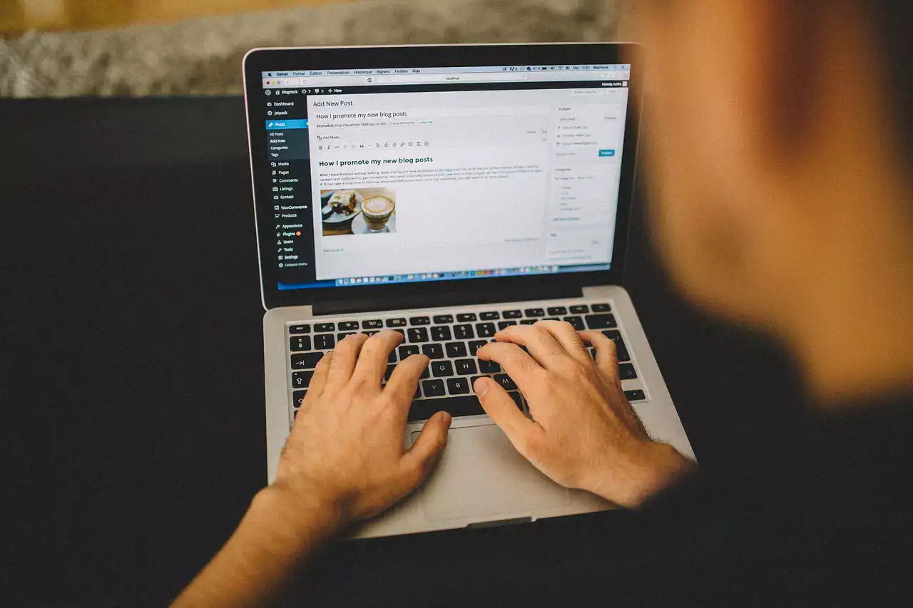 wordpress update wordpress update