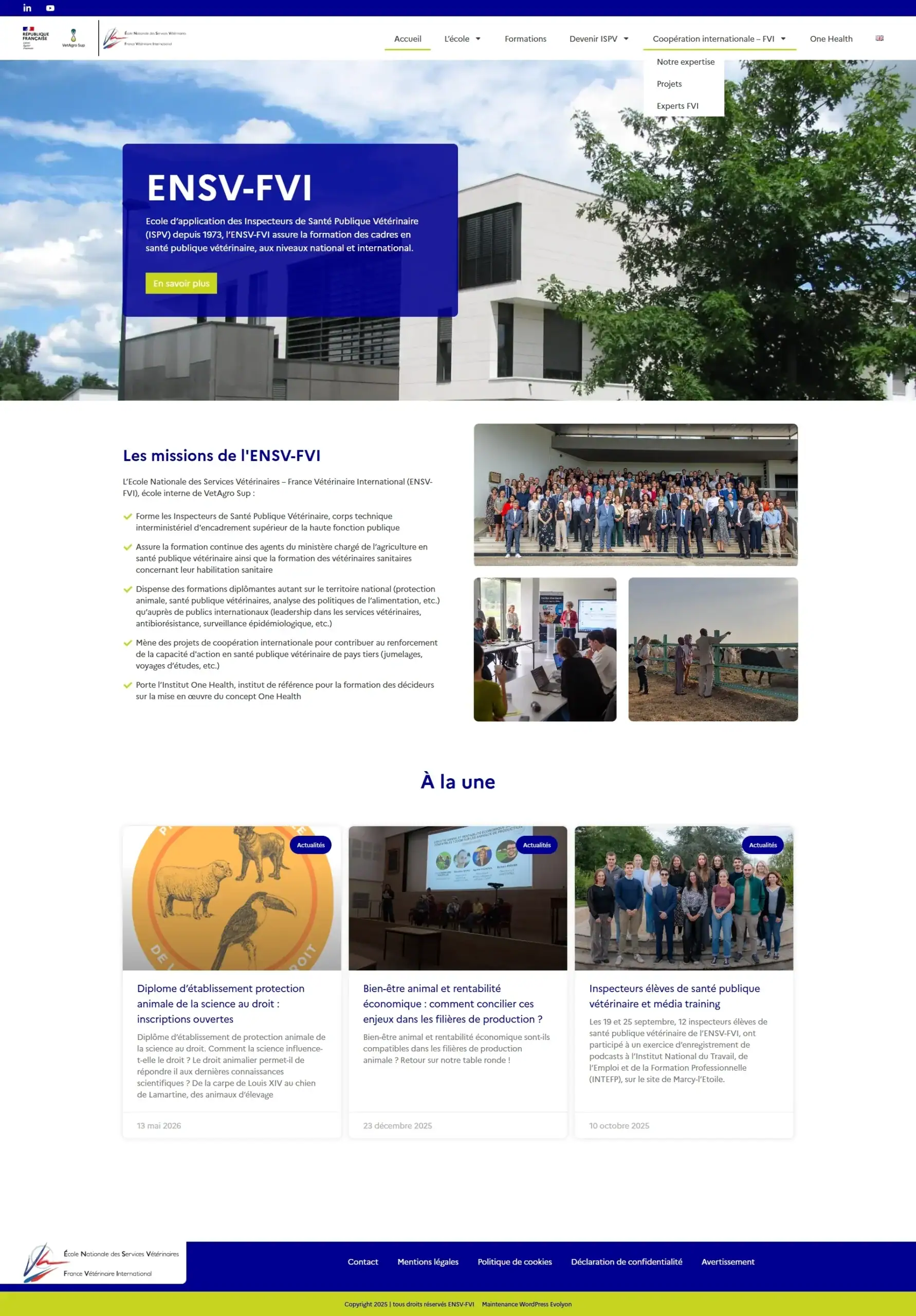 Refonte du site vitrine WordPress de l'ENSV-FVI